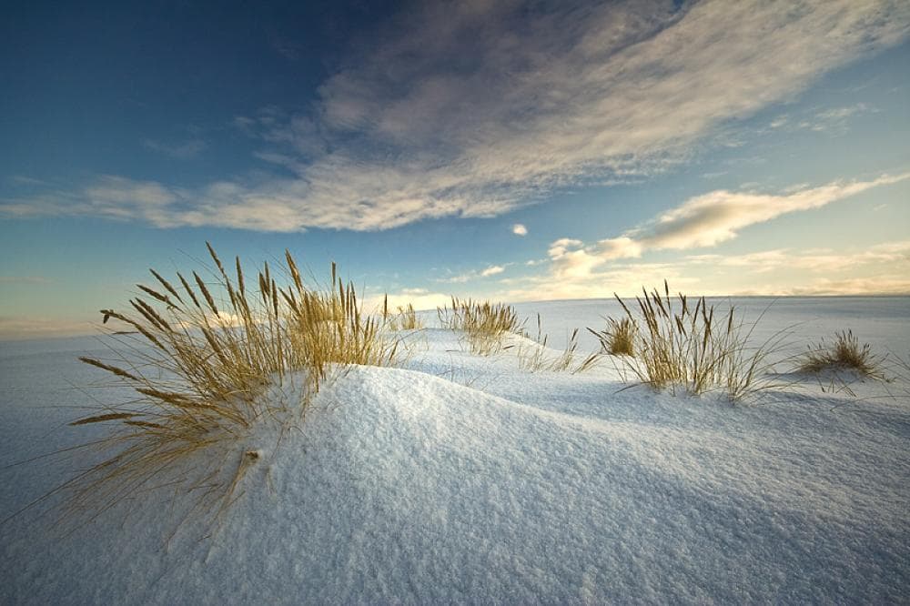Foto delle dune con sabbie bianche 