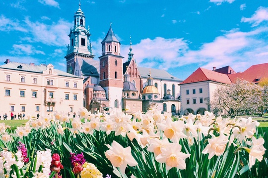 Wawel in primavera, Cracovia