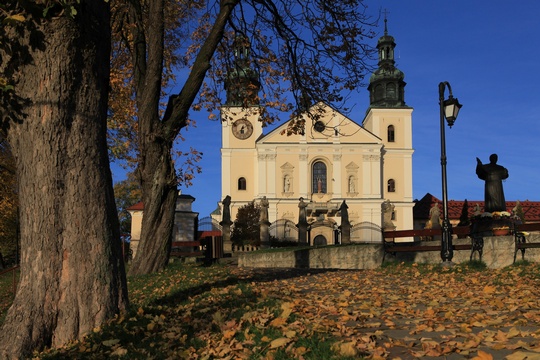 Fachada da igreja com uma árvore milenar em primeiro plano