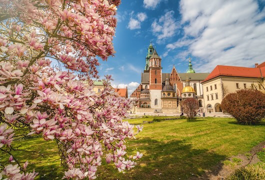 Castello di Wawel in primavera
