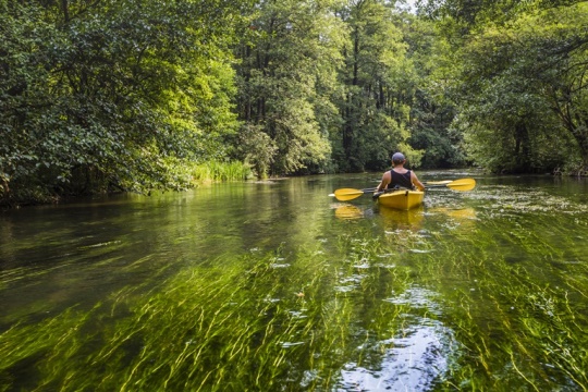 Paseos en kayak por ríos y lagos del noreste del país