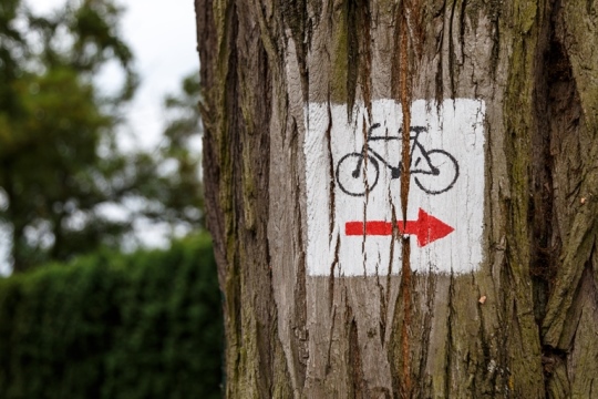 Polonia menos conocida: el este polaco en bicicleta