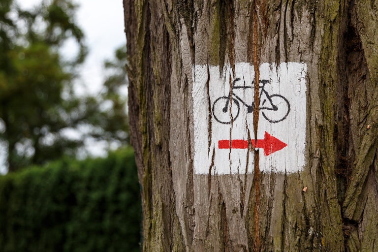 el signo que indica una ruta ciclista, pintado sobre un árbol