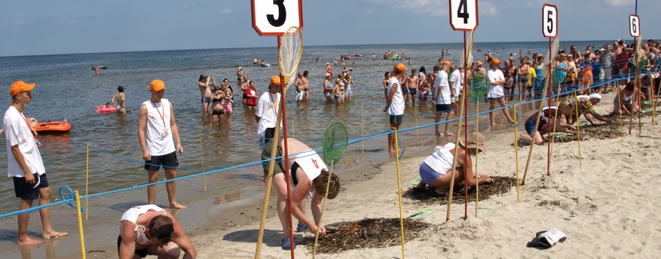 en la playa, varios concursantes trabajan en sus puestos numerados buscando trozos de ámbar en la arena