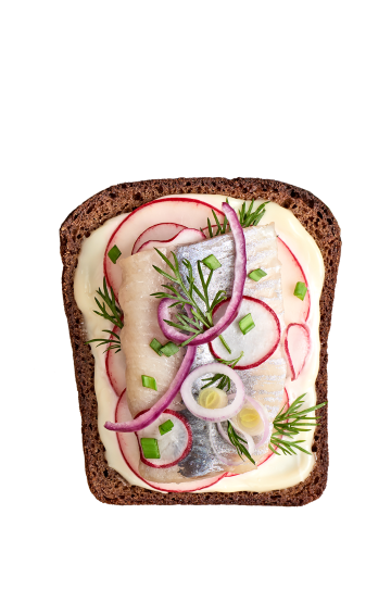 rebanada de pan negro con arenque adornada con rodajas de cebolla y rabanitos