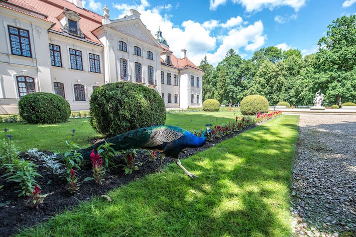 Foto del parco della città di Kozłowka