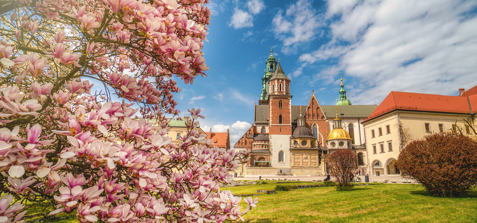 Castello di Wawel a Cracovia in primavera 