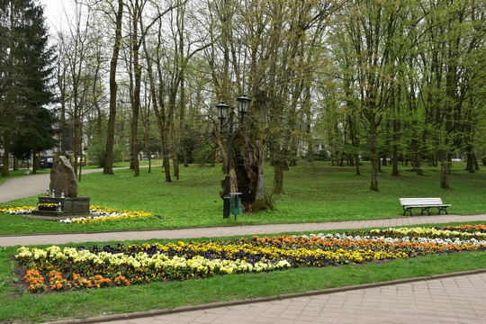 Parco a Naleczow