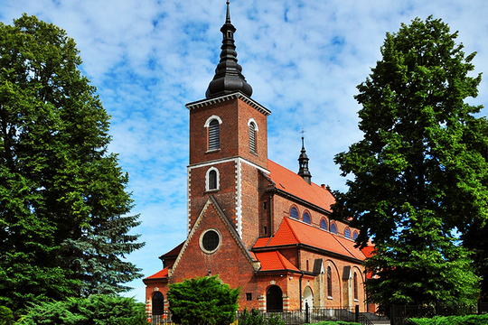 Chiesa dell'Assunta di Niegowic
