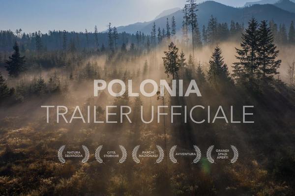 Immagine di foreste con nebbia. scritta Polonia. Trailer ufficiale