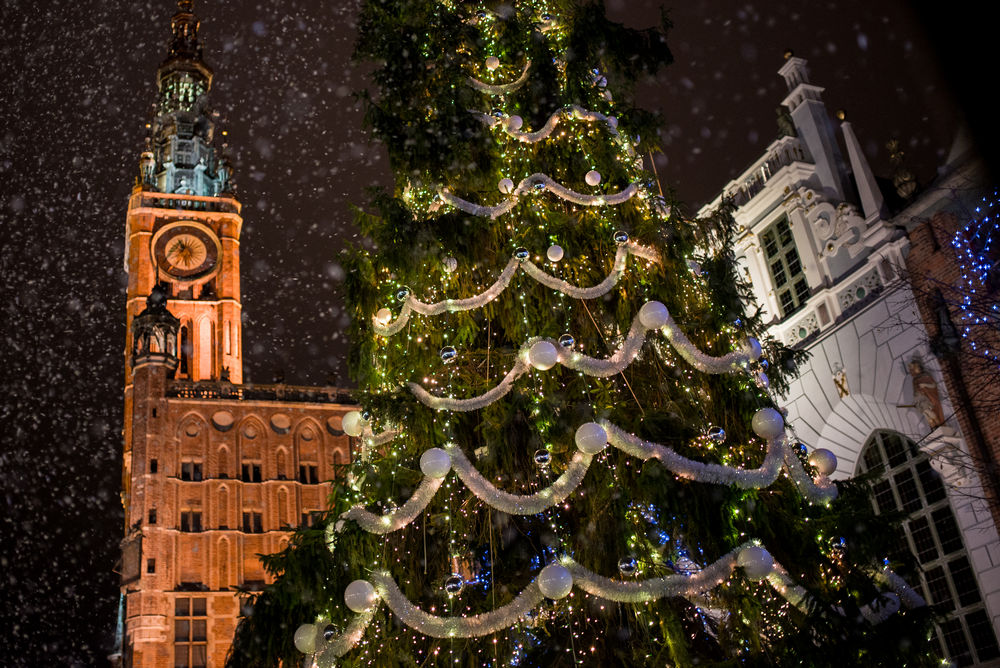Vista notturna sull'albero di Natale nel centro storico di Danzica