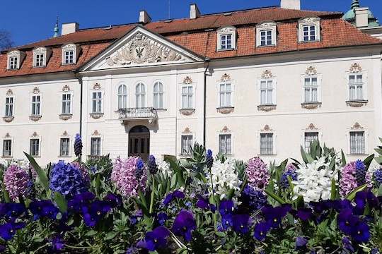 Foto del palazzo di RADZIWIŁŁ  a Niebowor, in Polonia