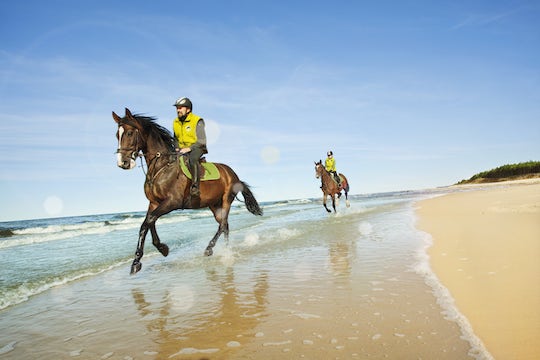 2 persone corrono a cavallo lungo la costa del Mar Baltico