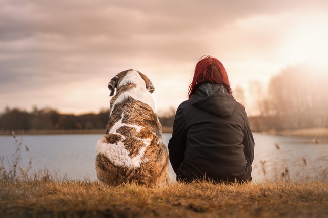 Foto che mostra un cane ed una persona di spalle mentre ammirano un fiume, sullo sfondo