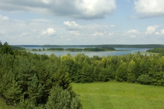 Um prado verde e uma floresta com um lago azul ao fundo