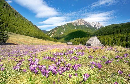 Primavera nas Montanhas Tatra
